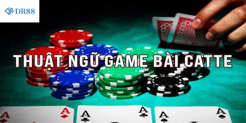 Các thuật ngữ cơ bản trong cách bài Catte
