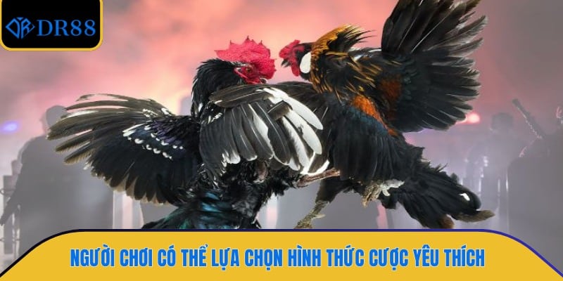 Người chơi có thể lựa chọn hình thức cược yêu thích 