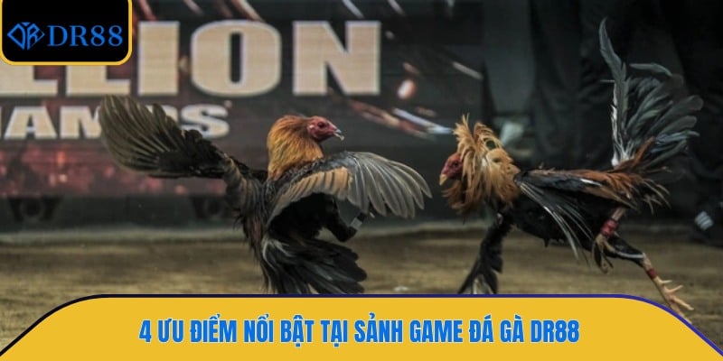 4 ưu điểm nổi bật tại sảnh game đá gà DR88