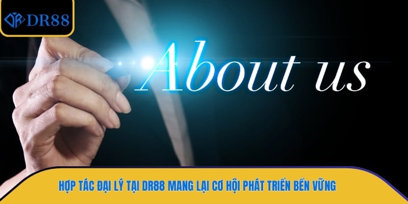 Hợp tác đại lý tại DR88 mang lại cơ hội phát triển bền vững