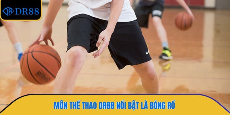 Môn thể thao DR88 nổi bật là bóng rổ